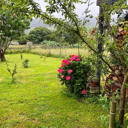 Apartamento De Pascualin Con Jardin Privado En Ortigueira *