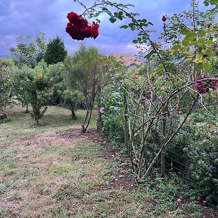 Apartmán De Pascualin Con Jardin Privado En Ortigueira *