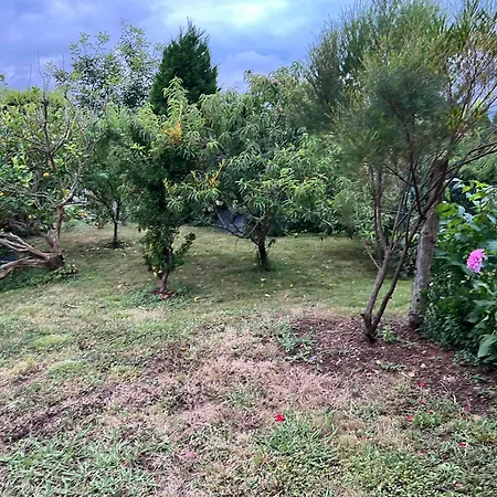 De Pascualin Con Jardin Privado En Ortigueira *