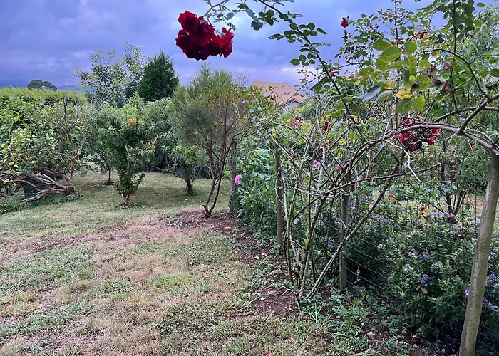 Apartmán De Pascualin Con Jardin Privado En Ortigueira *