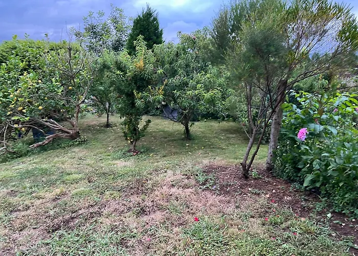 De Pascualin Con Jardin Privado En Ortigueira *